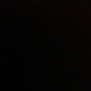 Meet your Posher, Bernardo